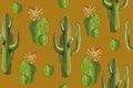 Watercolor desert set `Cacti pattern` orange background