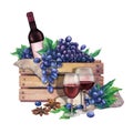 Watercolor red wine glasses, bottle in the box of blue grapes Royalty Free Stock Photo