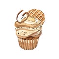 Watercolor dessert cupcake, whipped cream with cookie, muffin in wax liner. Hand-drawn illustration isolated on white