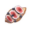 Watercolor dessert, tasty baked croissant with figs and blueberry. Hand-drawn illustration isolated on white background Royalty Free Stock Photo