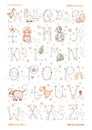 Watercolor dinosaur ABC poster, educational illustration for kids, cute dino animal and alphabet letters clipart, nursery print,