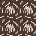 Watercolor dinosaur fossil bones seamless pattern with realistic Tyrannosaurus teeth, hand, ribs on brown background