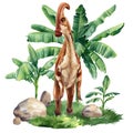 Watercolor dinosaur isolated on white background. Dinosaur on landscape with nature palm trees. Parasaurolophus