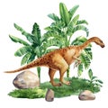 Watercolor dinosaur isolated on white background. Dinosaur Velociraptor on landscape with nature palm trees