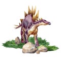 Watercolor dinosaur isolated on white background. Stegosaurus illustration. Dinosaur on landscape