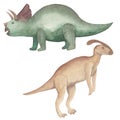 Watercolor dinosaurs Parasaurolophus and Triceraptors Isolated on white background Hand painted illustration Prehistoric