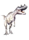 Watercolor dinosaurus, Ceratosaurus Royalty Free Stock Photo