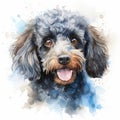 Watercolor Dog Portrait: Poodle In Light Sky-blue And Dark Gray