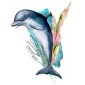 Watercolor dolphin, coral and seaweed composition. Hand painted underwater illustration isolated on white background