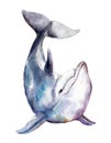 Watercolor dolphin, hand-drawn illustration isolated on white.