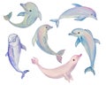 Watercolor dolphin on a white background. Beautiful colorful dolphin. Inhabitant in the waters of the oceans. Dolphin