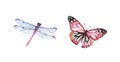 Watercolor Dragonfly And Butterfly. Realistic Insect Painting Isolated On White. Detailed Wings And Purple Body. Hand