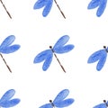 Watercolor colorful blue dragonfly on a white background. Seamless hand drawn pattern Royalty Free Stock Photo