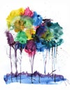 Watercolor drawing of an abstract landscape. Multicolored trees on a white background