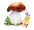 Watercolor drawing - adventures of a mouse mushroom picking, giant mushroom