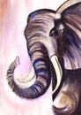 Watercolor drawing of African elephant in grey and blue tones on beige lighted background. Hand drawn illustration of Royalty Free Stock Photo