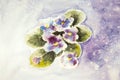 Watercolor drawing of African violet on blue background. Hand painted illustration of viola Royalty Free Stock Photo
