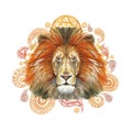 Watercolor drawing of an animal mammal predator, red lion, red mane, lion-king of beasts, portrait of greatness, strength, kingdom Royalty Free Stock Photo