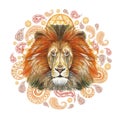 Watercolor drawing of an animal mammal predator, red lion, red mane, lion-king of beasts, portrait of greatness, strength, kingdom