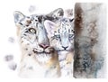 Watercolor drawing of animals - snow leopard with a baby Royalty Free Stock Photo