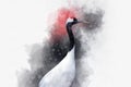 Watercolor drawing of an asian crane bird. Hand painted traditional bird illustration