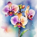 watercolor drawing of beautiful rainbow orchid, on a wintry background.