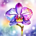 watercolor drawing of beautiful rainbow orchid, on a wintry background.