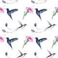 Watercolor drawing of a bird - a hummingbirds pattern