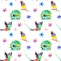 Watercolor drawing of birds - Resplendent Quetzal and guldova amadina, gould finch - seamless pattern