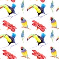 Watercolor drawing of birds - toucan and guldova amadina, gould finch - seamless pattern