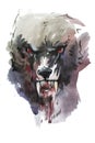 Watercolor drawing of black angry looking wolf. Animal portrait on white background. Royalty Free Stock Photo