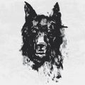 Watercolor drawing of black angry looking wolf. Animal portrait on white background. Royalty Free Stock Photo