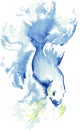 Watercolor drawing of a blue Siamese fighting fish