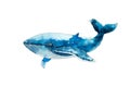 Watercolor drawing of blue whale isolated on white background. Handmade illustration of blue whale Royalty Free Stock Photo