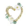 Watercolor drawing braided wreath in the shape of a heart with white flowers and eucalyptus leaves. cute clipart for valentine`s d