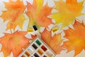 A watercolor drawing with bright autumn maple leaves and a set of colors Royalty Free Stock Photo