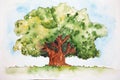 Watercolor drawing of the broad-leaved green tree isolated on the white background. Illustration of big foilage tree