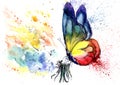 Watercolor drawing of a butterfly on a dandelion