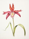 Watercolor Drawing of Caladenia Melanema on White Background AI Generated Royalty Free Stock Photo