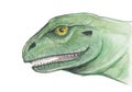 Watercolor drawing of a carnivorous dinosaur, head close up, isolated on a white background. Hand drawn Royalty Free Stock Photo