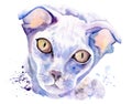 watercolor drawing of a cat drawn by hand - greyhound. Royalty Free Stock Photo