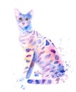 watercolor drawing of a cat drawn by hand - safari cat. Royalty Free Stock Photo
