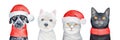 Watercolor drawing collection of cute Christmas dogs and cats wearing cozy knitted clothes and bright Santa Claus hat.