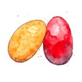 Watercolor drawing colored Easter eggs on a white background