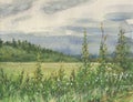 Watercolor drawing of countriside landscape on cloudy summer day Royalty Free Stock Photo