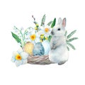 Watercolor drawing cute easter bunny, rabbit with spring flowers and bird nest with egg Royalty Free Stock Photo