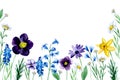 watercolor drawing with cute wildflowers. border, spring flowers