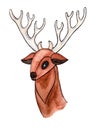 Watercolor drawing of a deer with a black outline. Isolated on white background. Stylization.