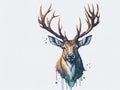 Watercolor drawing of a deer with large antlers. Royalty Free Stock Photo