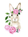 Watercolor drawing. easter bunny. cute portrait of a hare, rabbit with pink rose flowers, peony on a white background. decoration